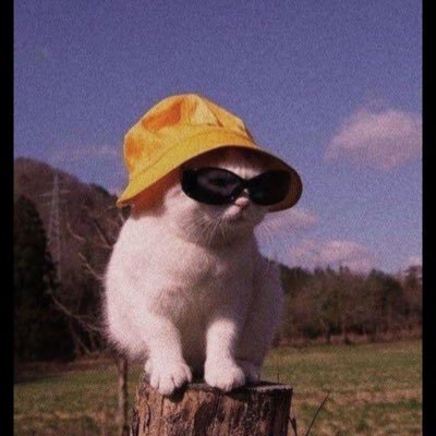 Sidihisham's profile picture. 𝓒𝓱𝓮𝓬𝓴 𝓶𝓪𝓽𝓮⛱️