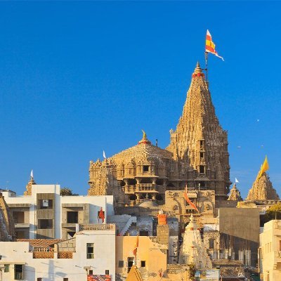 solanki43887's profile picture. big fan pg