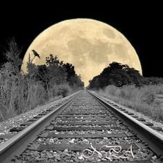 Mainehtrain34's profile picture. Originally from Maine. Talk a little bit about everything. It’s one big club and we ain’t in it. #Sportsbetting #DFS  #Poker #Economy #Silver #Gold #Bitcoin .