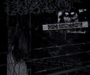 MetaVersat37618's profile picture. Every time you smile at someone, it is an action of love, a gift to that person, a beautiful thing.