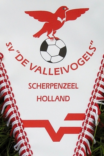 Volg live het scoreverloop van Valleivogels 1