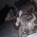 scott carlyle - @carlyle_sc1185 - Twitter