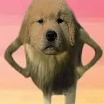 jaytotheten_'s profile picture. เติดระแบด เติดระแบด เติดระแบด