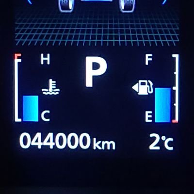 mintnano1230's profile picture. 