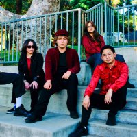 Velvet Starlings (@velvetstarlings) 's Twitter Profile Photo Velvet Starlings (@velvetstarlings) 's Twitter Profile Photo