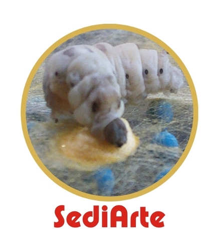 Sediarte Profile Picture