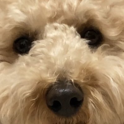 66MLVWulwB84949's profile picture. Blue Blue 高橋優介様の信者です。 シーバスをメインにいろんな魚を釣ります。よろしくお願いします。