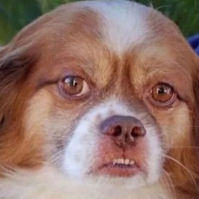 neg77387's profile picture. 