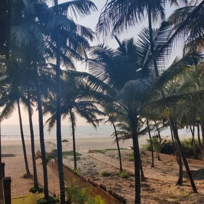 UmeshBhandare15's profile picture. Doctor,
MPSC Medical (Rank 80)
Govt. Officer (Group A)
सार्वजनिक आरोग्य विभाग
महाराष्ट्र शासन 🇮🇳
MBBS (GSMC&KEMH,MUMBAI)