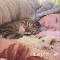 yumekanishidaa's profile picture. 16歳　ホリプロ所属
・ABEMA 「今日、好きになりました。」
・tgcオーディショングランプリ、ulike賞
・日本テレビ　超無敵クラス