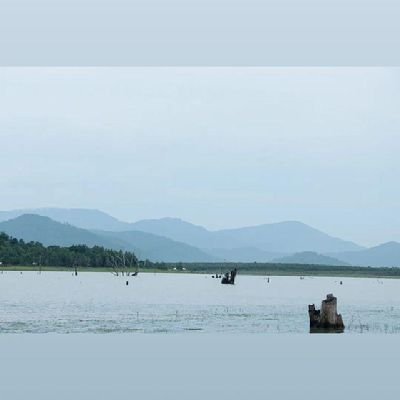 SSophameng's profile picture. 