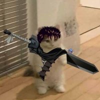 machape🦝 (@xzeuz_x) 's Twitter Profile