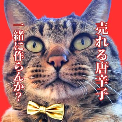 ワイは日本一有名な保護猫日本代表になって保護活動を日本中に広めるんや😺山梨県の旨辛調味料専門店や二郎系ランチとか色んなブランドやってるやで。生後1ヶ月で大怪我して天に召されかけたけど今は腹も出てるし元気や。よろしくな😺相方は世界一周ノマド社長（@junkuwabara）📣唐辛子コラボ相手募集中やで！🌶🌶🌶