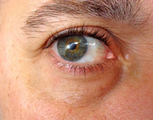 polcarpintero's profile picture. 