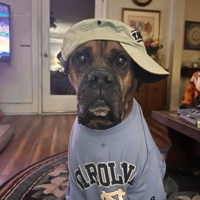 CherylW62290417's profile picture. 