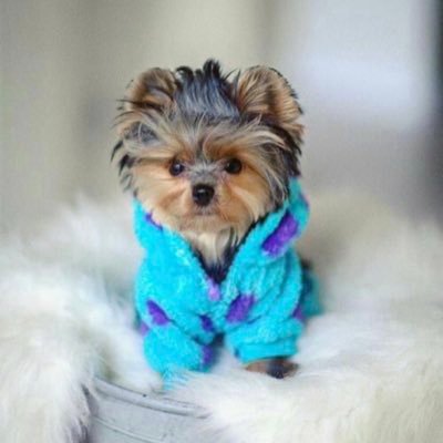 sweeth0424's profile picture. 