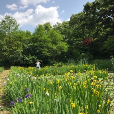 bagyeon40494689's profile picture. 