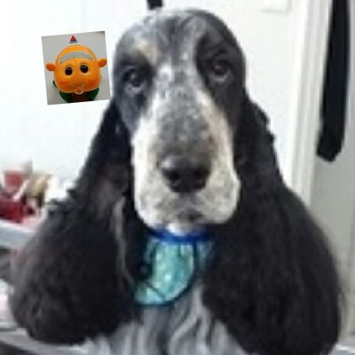 みかん  (๑¯∀¯๑)さんのプロフィール画像