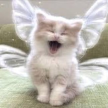 errrshuurr41930's profile picture. 