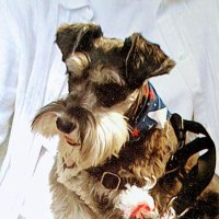 新音♫にぃおん (@luxdis417) 's Twitter Profile Photo