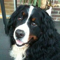 Ingrid Wall (@ingridwall1) 's Twitter Profile