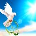 🕊️ FOLLOW BIRD(互fo必回💯💯) (@nmt68x) Twitter profile photo 🕊️ FOLLOW BIRD(互fo必回💯💯) (@nmt68x) Twitter profile photo