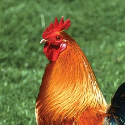 thisisthedeadac's profile picture. Get outta here.