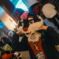 Akonifoxpuppy (@puppyakoni) 's Twitter Profile Photo