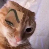 corni (@cholernaa) 's Twitter Profile