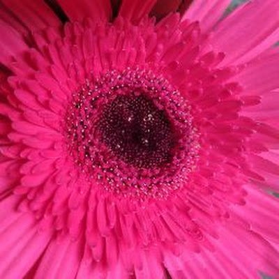 santhiyajoel's profile picture. 