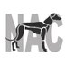 Plataforma NAC #NoALaCaza (@plataforma_nac) Twitter profile photo Plataforma NAC #NoALaCaza (@plataforma_nac) Twitter profile photo