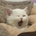 ︎ ︎ ︎ ︎ ︎ ︎ ︎ ︎ ︎ ︎ ︎ ︎ ︎ ︎ ︎ ︎ ︎ ︎ ︎ ︎ (@_ilt_0) Twitter profile photo ︎ ︎ ︎ ︎ ︎ ︎ ︎ ︎ ︎ ︎ ︎ ︎ ︎ ︎ ︎ ︎ ︎ ︎ ︎ ︎ (@_ilt_0) Twitter profile photo
