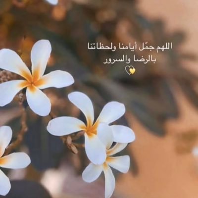 (ربي اشرح لي صدري ويسر لي أمري) الخاص مهمل