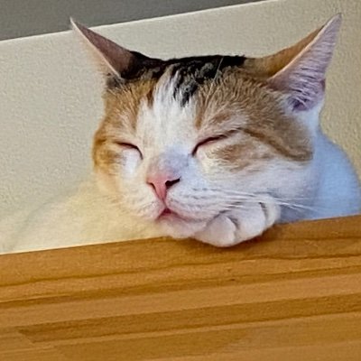 masakai0124's profile picture. 主にPython•TypeScript•Terraform•AWS CDKなどを扱います。
