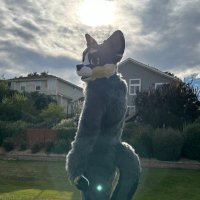 Misfit (@zraigowolfy) 's Twitter Profile Photo Misfit (@zraigowolfy) 's Twitter Profile Photo