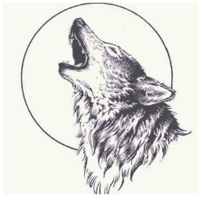 m_mizantrop's profile picture. 