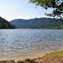 Flora Richard - @Floflo88260 - Twitter