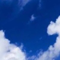 はる (@zmbmlf) 's Twitter Profile