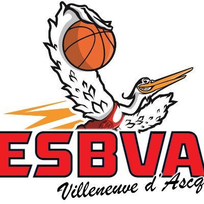 Compte X officiel des Hérons : L'équipe Loisir mixte de l' @ESBVA - @ESBVALM. Entente Sportive Basket de Villeneuve d'Ascq. #ESBVA #ESBVALM #ESBVATeamLoisir