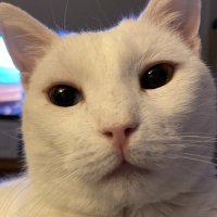 bahar 💫 (@baharovicc) 's Twitter Profile Photo