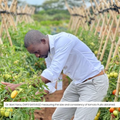 Nous sommes un centre de recherche/développement qui exploite le potentiel des légumes au service de vies plus saines & de moyens de subsistance plus résilients