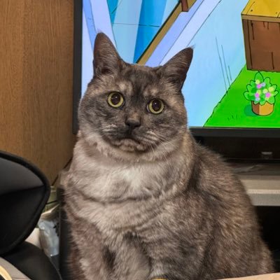 ちゅんたさんのプロフィール画像