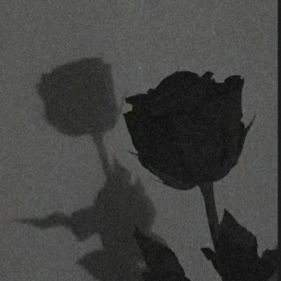 ZainapoZ's profile picture. 