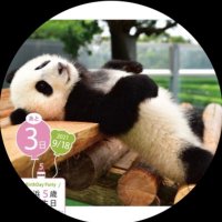 やっちん (@markun1021) 's Twitter Profile Photo やっちん (@markun1021) 's Twitter Profile Photo