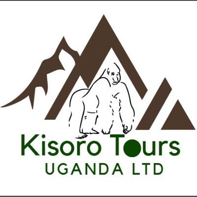 For all Gorilla Tracking and Wildlife Safaris, Plan your gorilla tracking tours & wildlife safaris with a trusted and licensed Email:info@kisorotoursuganda.com
