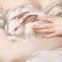 ysdsht9ll's profile picture. 