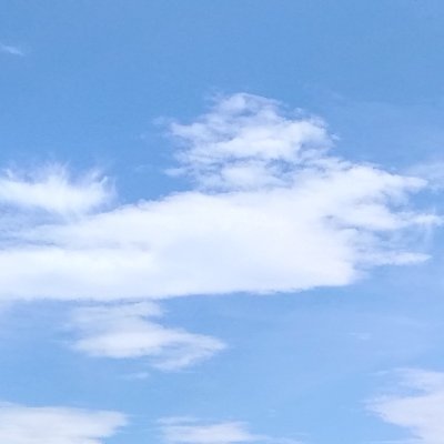 ziel777's profile picture. がんばってる子が好きです
フォロー／解除はお気軽に