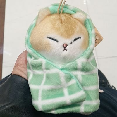 ねるねこさんのプロフィール画像