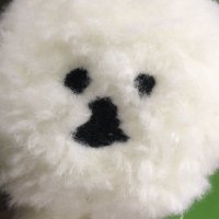 inukawa (@inukawanazo) 's Twitter Profile Photo inukawa (@inukawanazo) 's Twitter Profile Photo