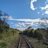 chive60002455